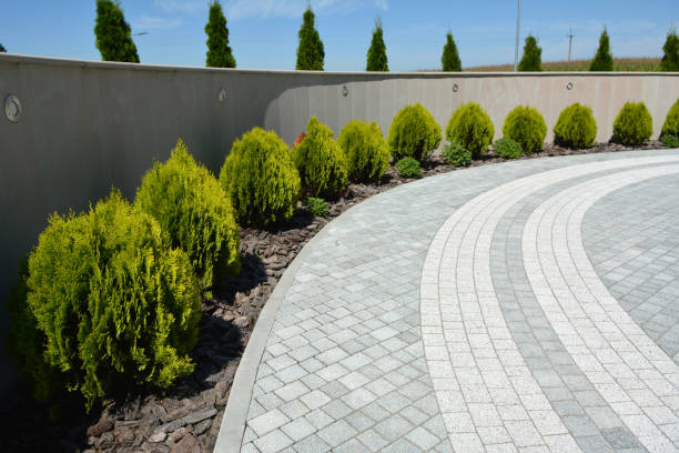 Best Custom Driveway Pavers  in Cozad, NE